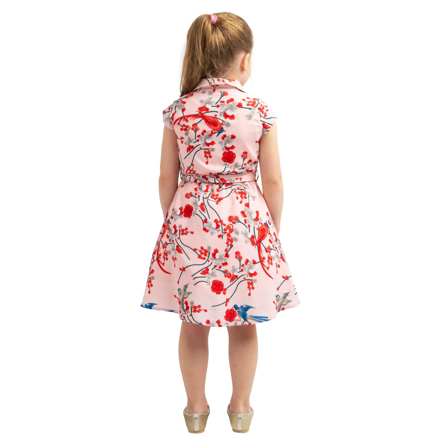 Girls Kids Vintage Style Collared Button down Dresses Bird Print - Available in 3 Colors